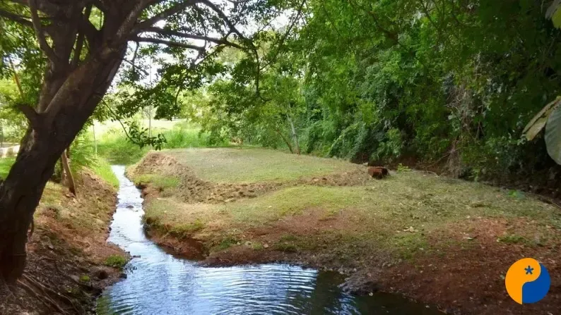 Vigilante flagra adolescentes tendo relações sexuais no Parque do Mocambo 