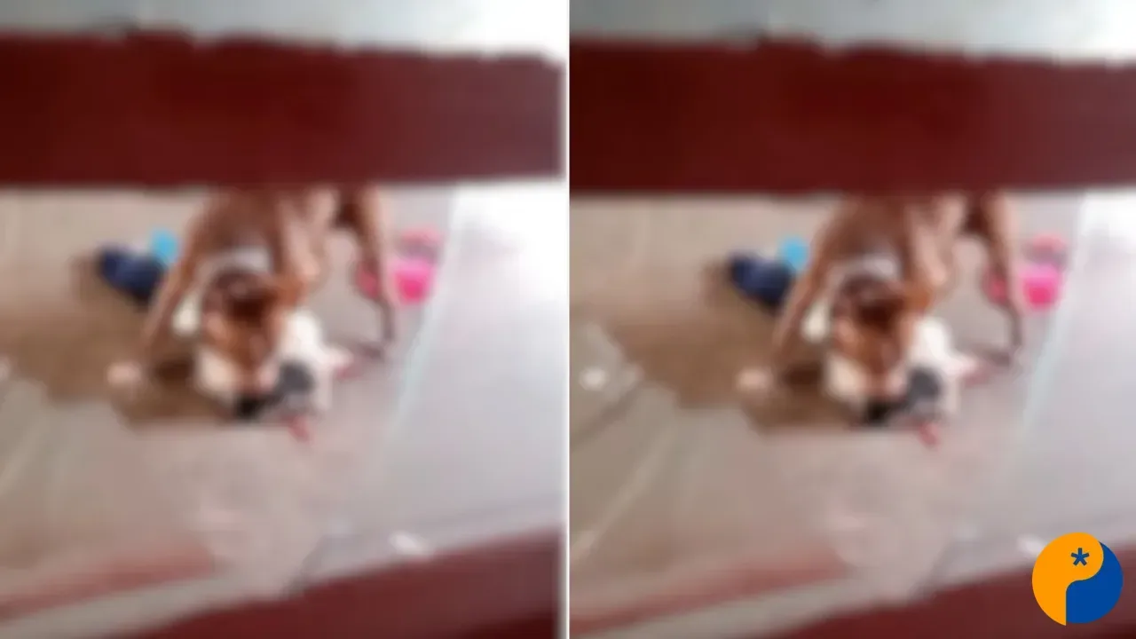 Cachorro é morto após ataque de pitbull dentro de residência; família presencia 