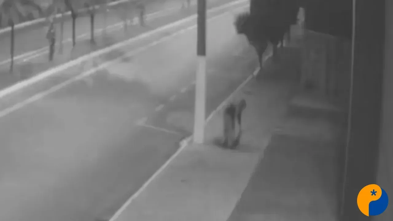 Furto na OAB: criminosos levam câmera e cabos de cobre, mas acabam presos