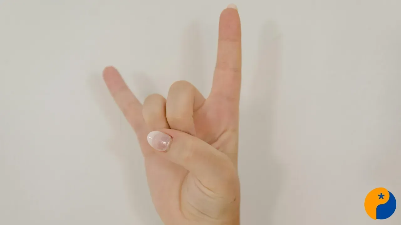 Brasil celebra o Dia Nacional da Libras e reforça inclusão da comunidade surda