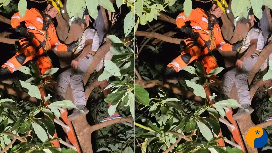 Idoso é resgatado após cair de goiabeira e ficar preso a quase sete metros de altura 