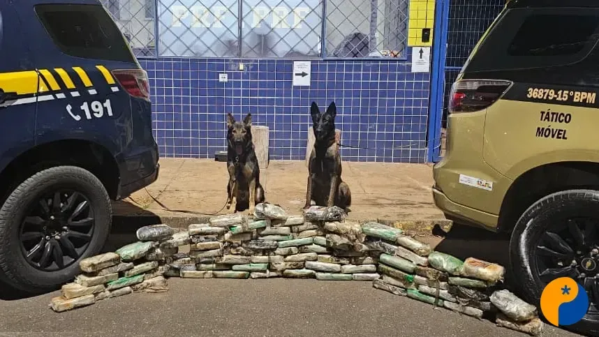 PRF apreende cocaína e crack escondidos em pneus de caminhão na BR-365