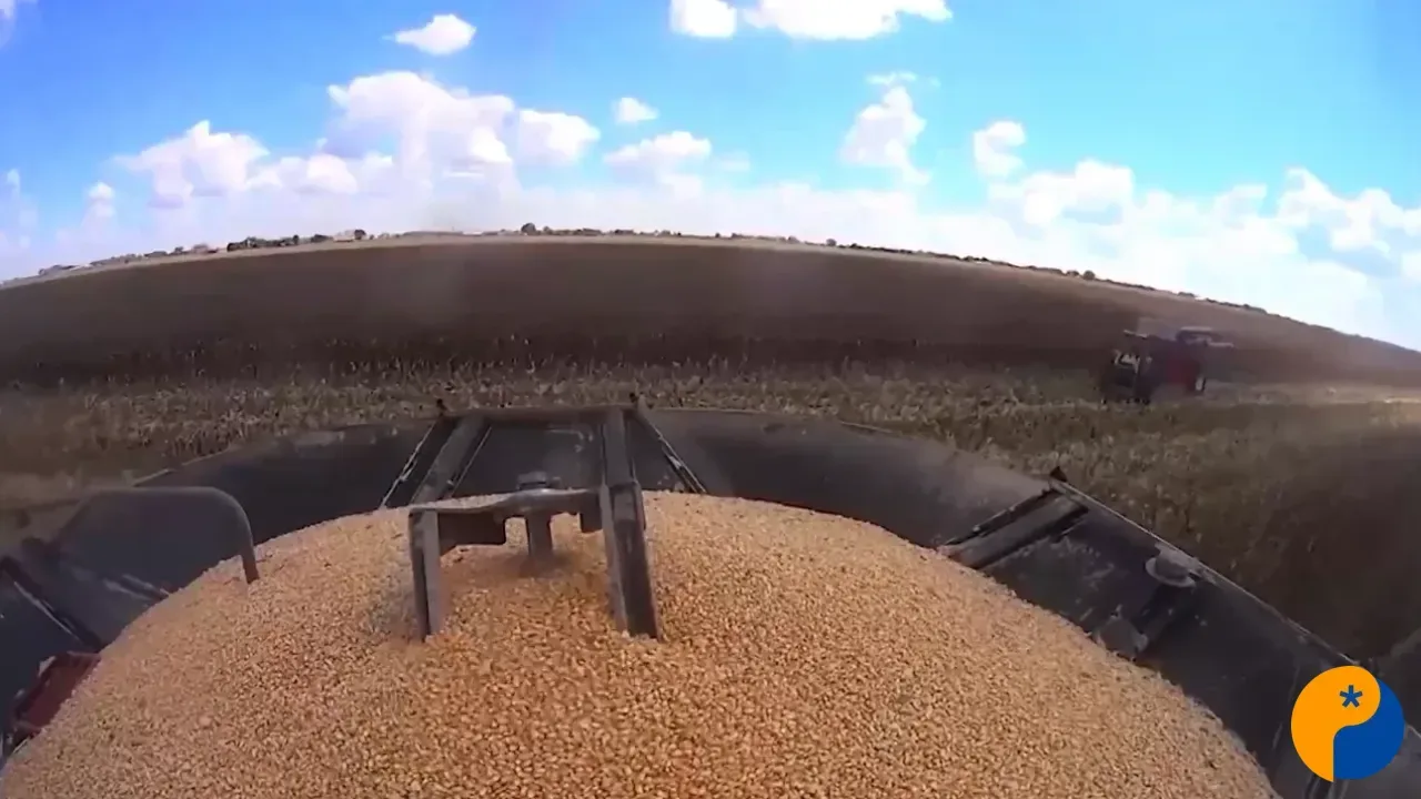 IBGE aponta PIB de R$ 8,15 bilhões e coloca Patos de Minas entre as maiores economias de Minas Gerais