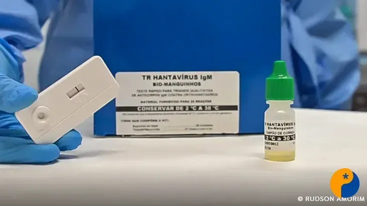 OMS afirma que risco de transmissão de hantavírus em cruzeiro é baixo e descarta cenário semelhante à covid-19