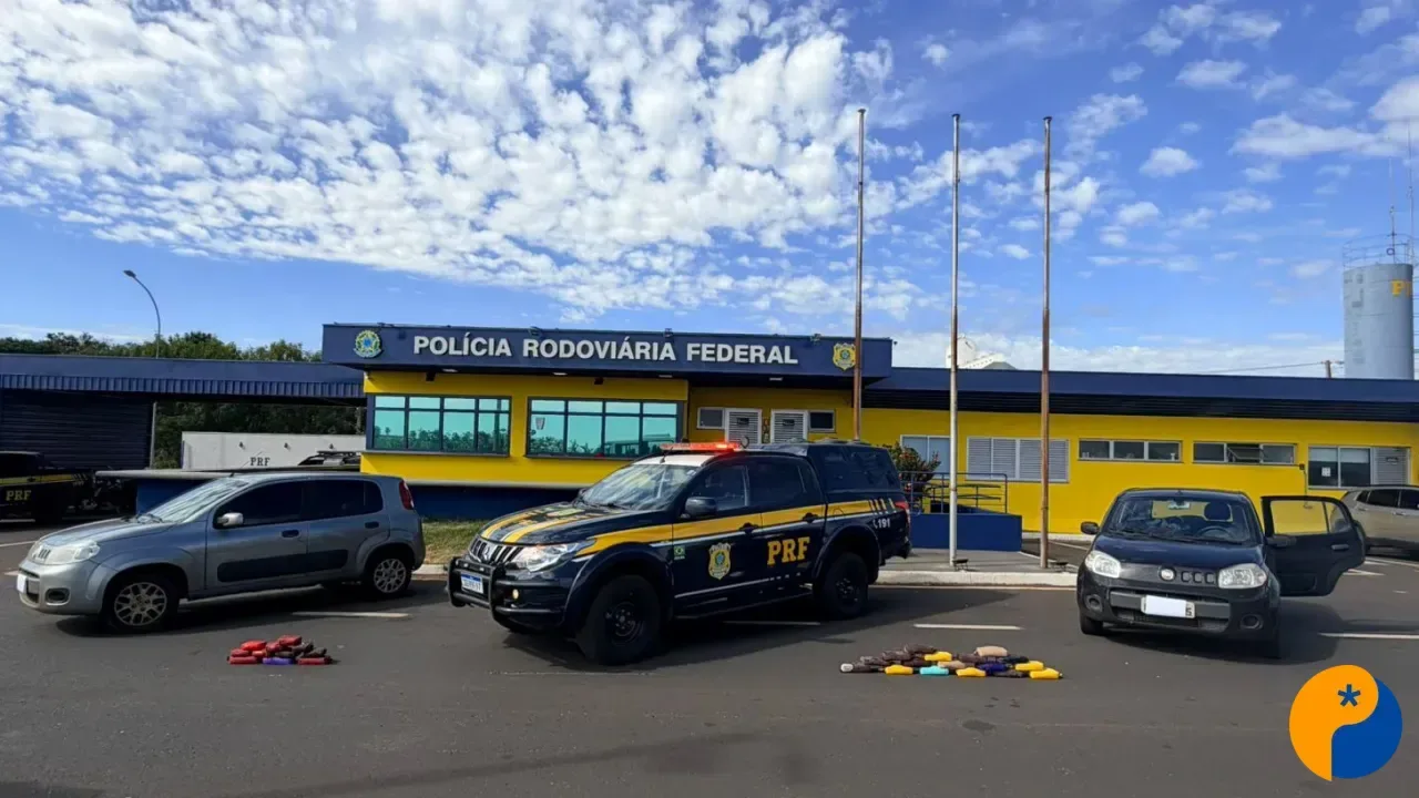 Drogas avaliadas em R$ 150 mil são apreendidas pela PRF na BR-050