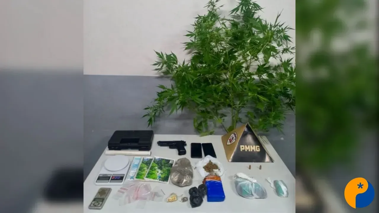 Denúncia de tráfico ajuda a apreender drogas, munições e pé de maconha no bairro Jardim Esperança