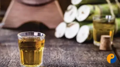 Dia da Cachaça Mineira destaca crescimento econômico e expansão internacional do setor