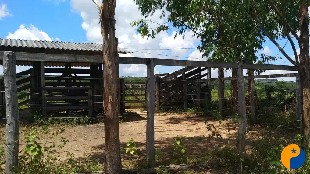 Polícia Militar procura suspeitos após furto de 16 cabeças de gado em Presidente Olegário