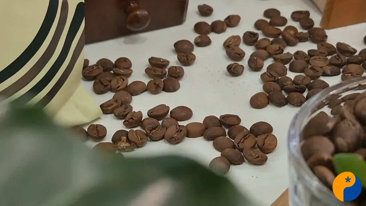 Oficina do SENAR destaca potencial dos cafés especiais durante a Fenamilho 2026