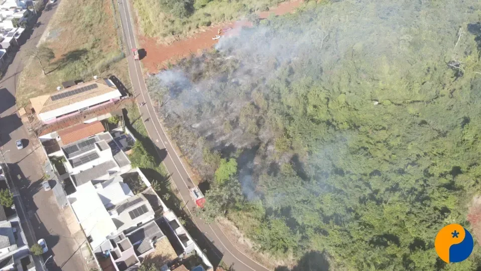 Incêndio atinge área do Parque Mata do Catingueiro e suspeita é flagrada por câmera