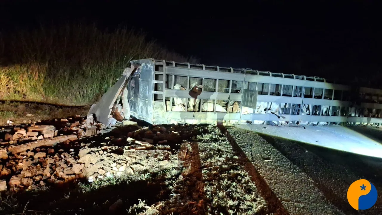 Carreta boiadeira tomba na BR-365 e deixa duas pessoas feridas