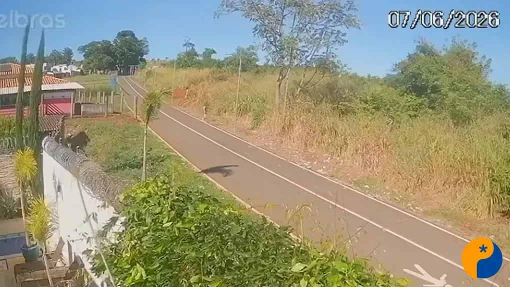 Polícia Civil mantém investigação sobre incêndios na Mata do Catingueiro sob sigilo