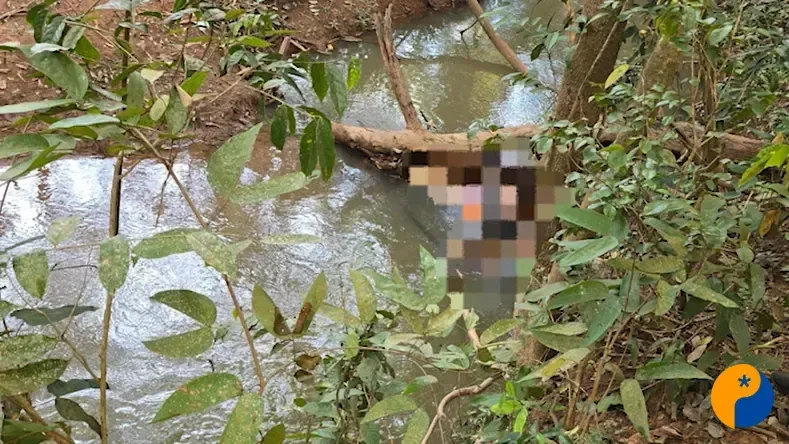 Duas mulheres são presas suspeitas de envolvimento na morte de homem durante piquenique