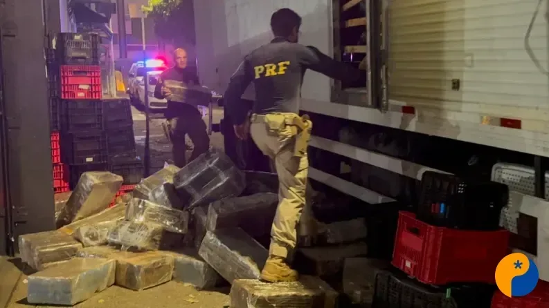 PRF apreende mais de três toneladas de maconha escondidas em caminhão na BR-262