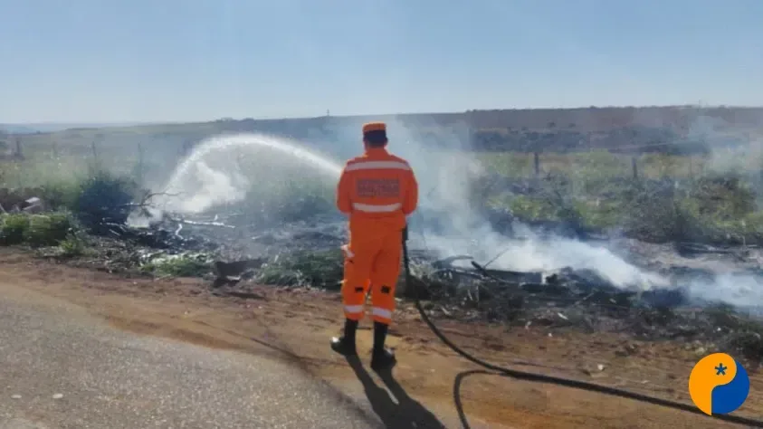 Bombeiros combatem incêndio em área verde e suspeitam de ação criminosa
