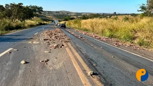 Carga de vísceras de animais cai na pista após caminhão frear para evitar colisão na BR-365