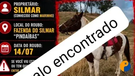 Cavalo furtado na região de Pindaíbas é localizado e devolvido aos proprietários