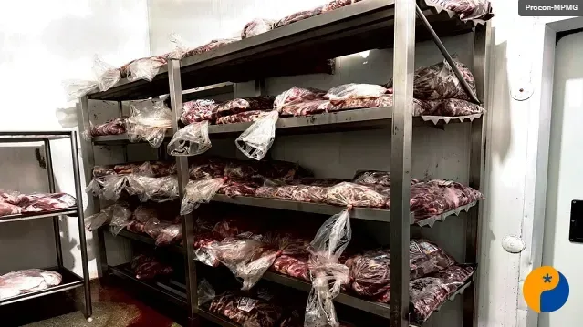 Procon multa empresa por descumprir normas de armazenamento de produtos cárneos