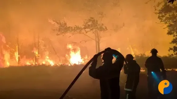 Nova onda de calor eleva temperaturas na Europa e amplia risco de incêndios florestais