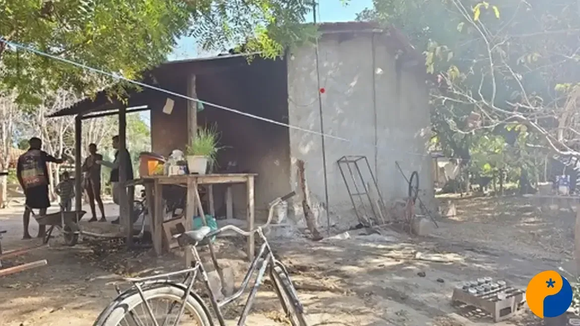 Fiscalização resgata 89 trabalhadores em condições degradantes durante colheita em Minas Gerais 