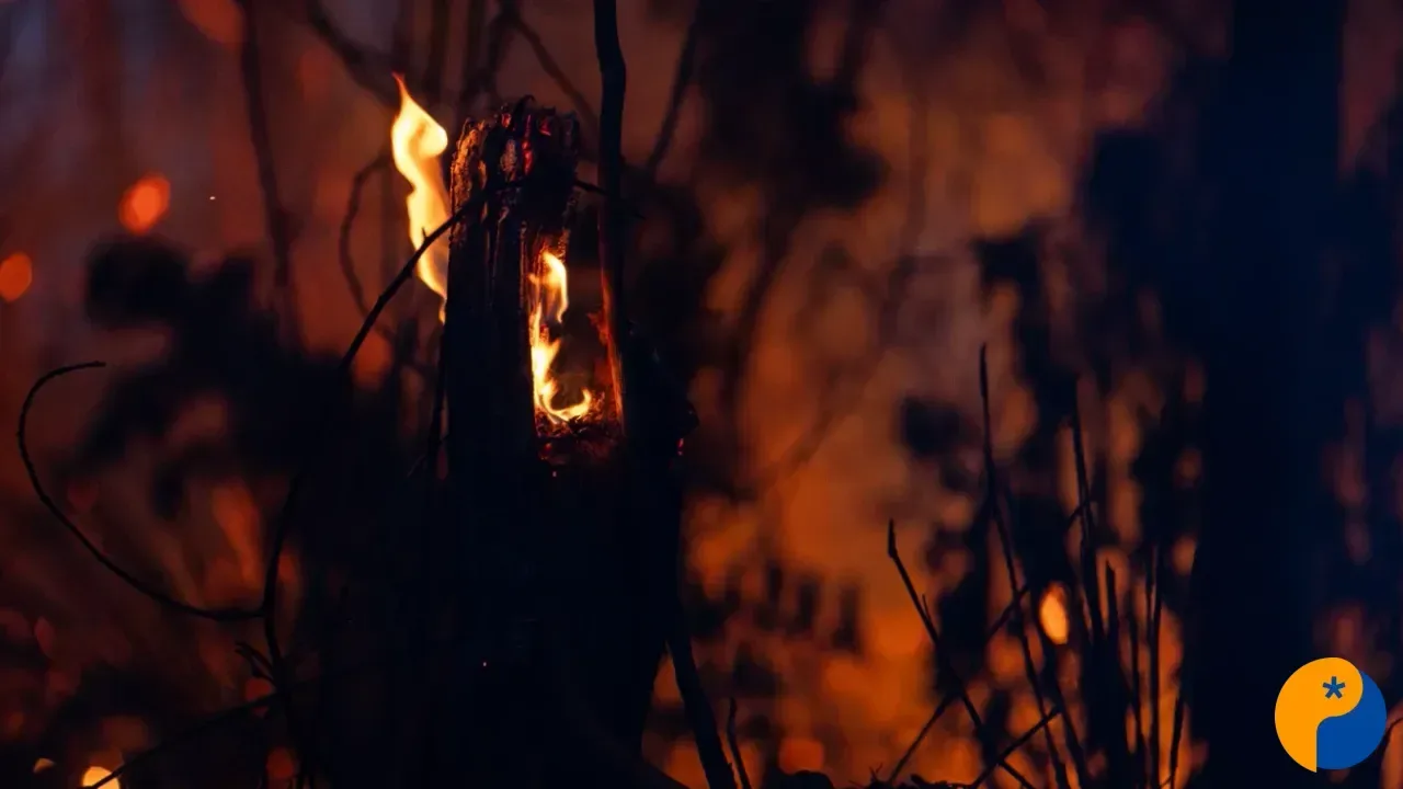 Incêndio em lote vago mobiliza bombeiros no Residencial Sorriso, em Patos de Minas