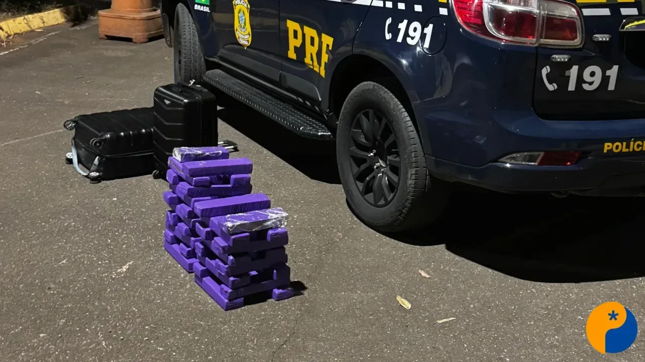 Passageira é presa com 36 kg de maconha em ônibus na BR-365, em Patos de Minas 