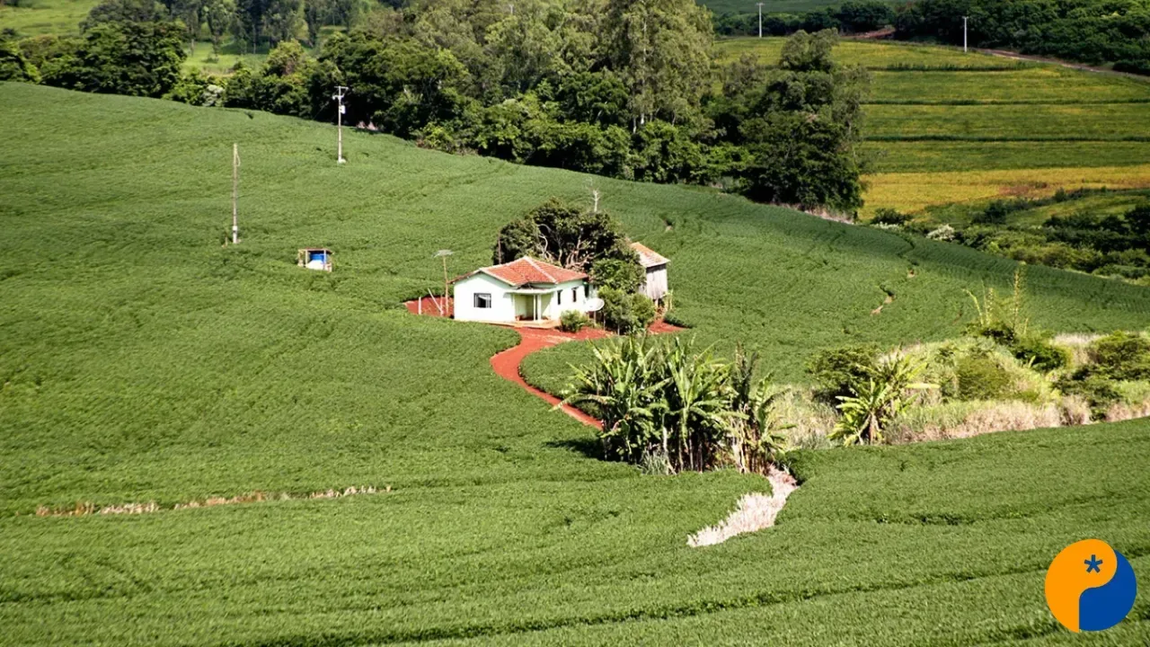 Donos de imóveis na zona rural já podem declarar imposto pela internet; saiba como funciona 