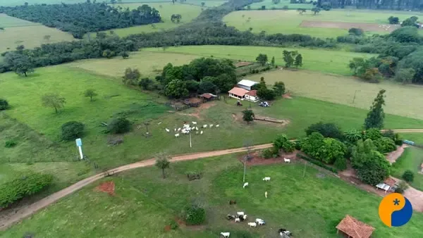 MP cria condições especiais para renegociação de dívidas rurais