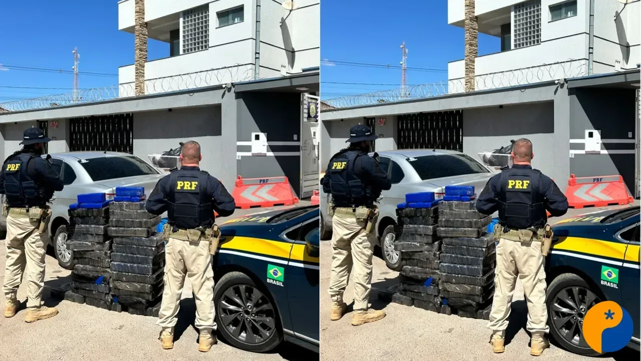 PRF apreende 217 kg de maconha e prende motorista na BR-365, em João Pinheiro
