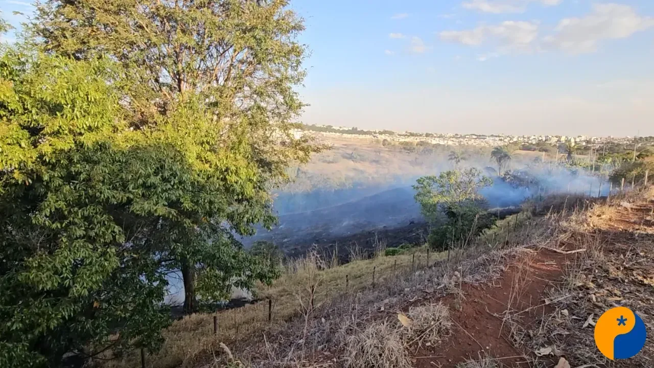 Incêndio atinge cerca de 2,5 hectares de vegetação próximo à Avenida Fátima Porto