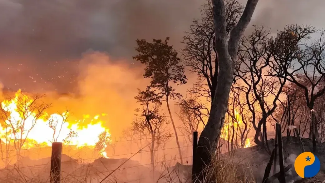 Polícia procura suspeito de incendiar mais de cinco mil metros de vegetação no bairro Planalto 