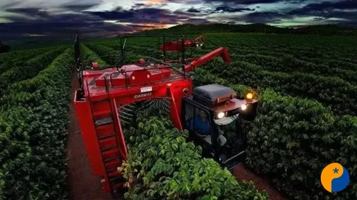Café dispara na Bolsa de Nova York e produtores já miram saca a R$ 2,1 mil