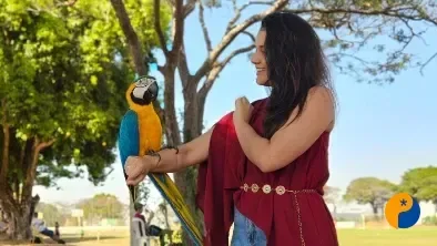 Repórter Emanuelly Ferreira desvenda os segredos do voo de uma arara Canindé em Patos de Minas