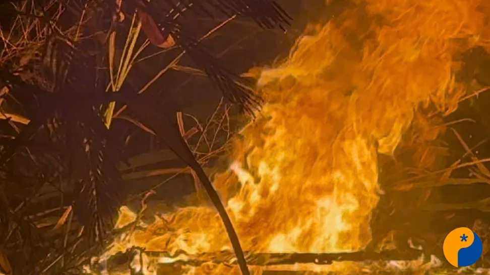 Incêndio em vegetação mobiliza bombeiros na Avenida Fátima Porto