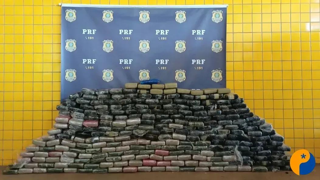 PRF apreende 210 kg de maconha e prende motorista na BR-040, em Paracatu