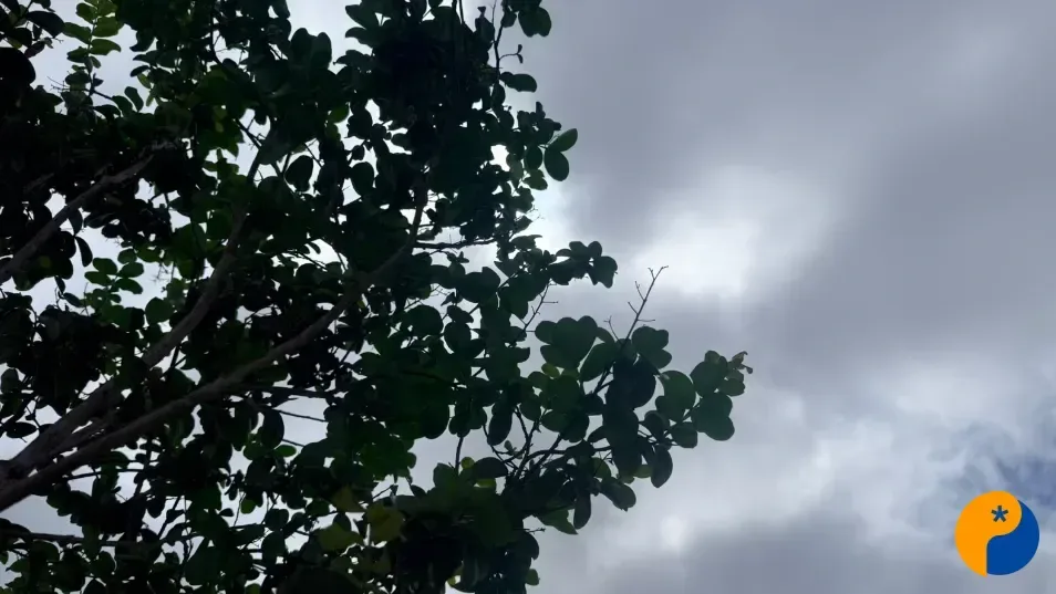 INMET mantém alerta de chuva intensa e previsão indica pancadas e trovoadas no Alto Paranaíba