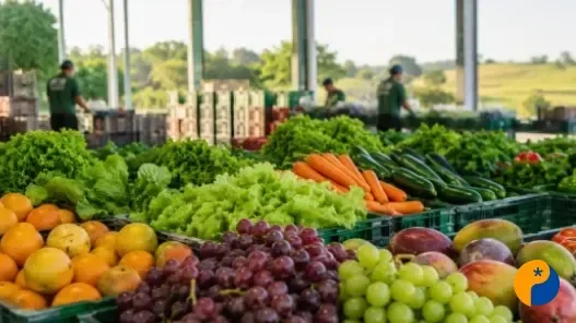 Setor de frutas e hortaliças pede políticas específicas para reduzir perdas e aumentar competitividade