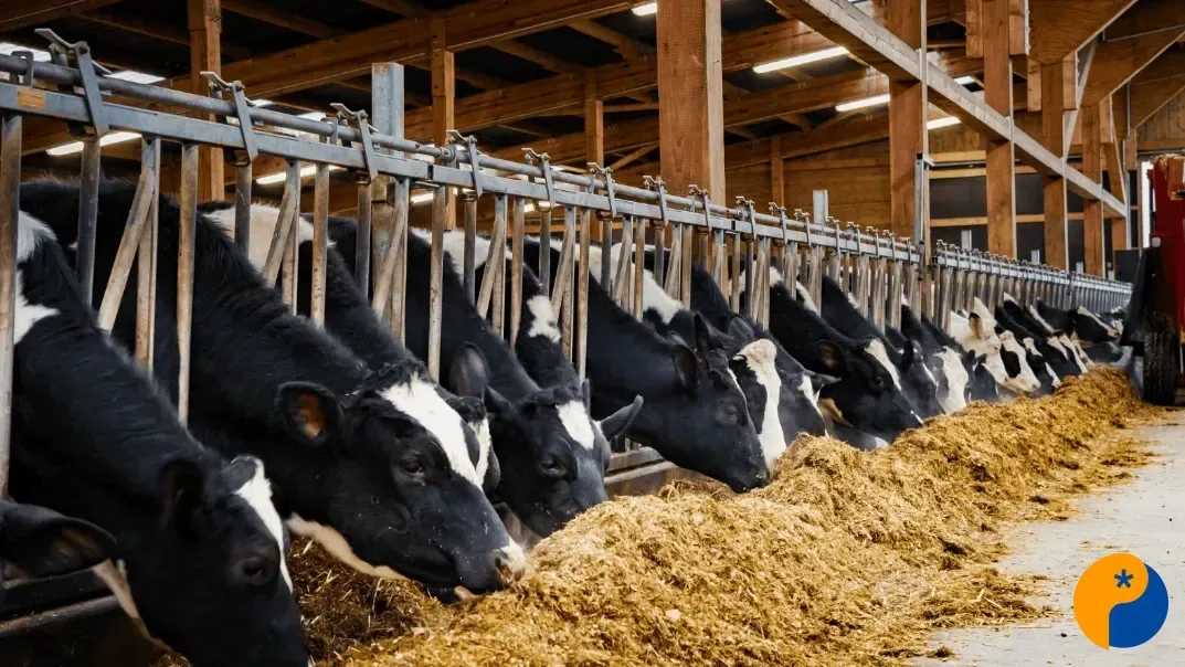 Encontro em Patos de Minas reúne especialistas para discutir produção de silagem