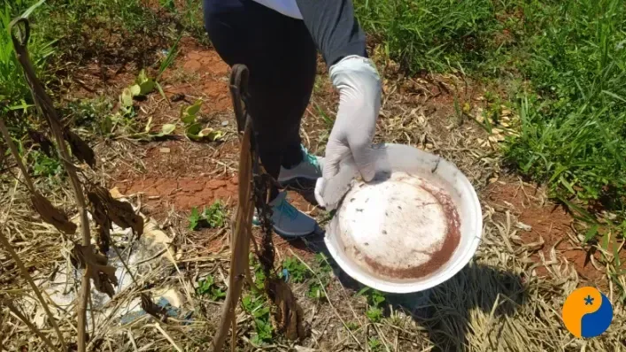 LIRAa aponta baixo risco de dengue em Patos de Minas, mas larvas são encontradas em quase todos os bairros