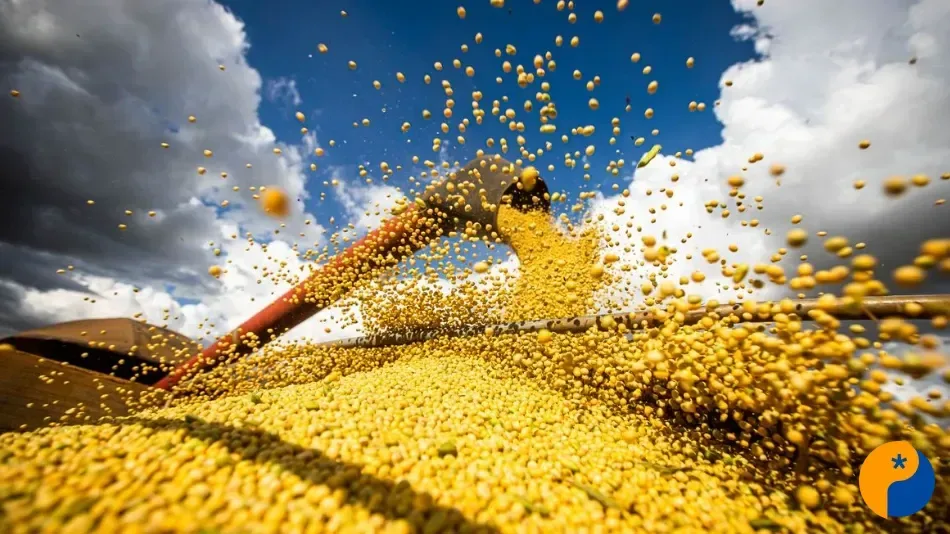 Minas Gerais registra R$ 109,4 bilhões em valor da produção agrícola em 2025