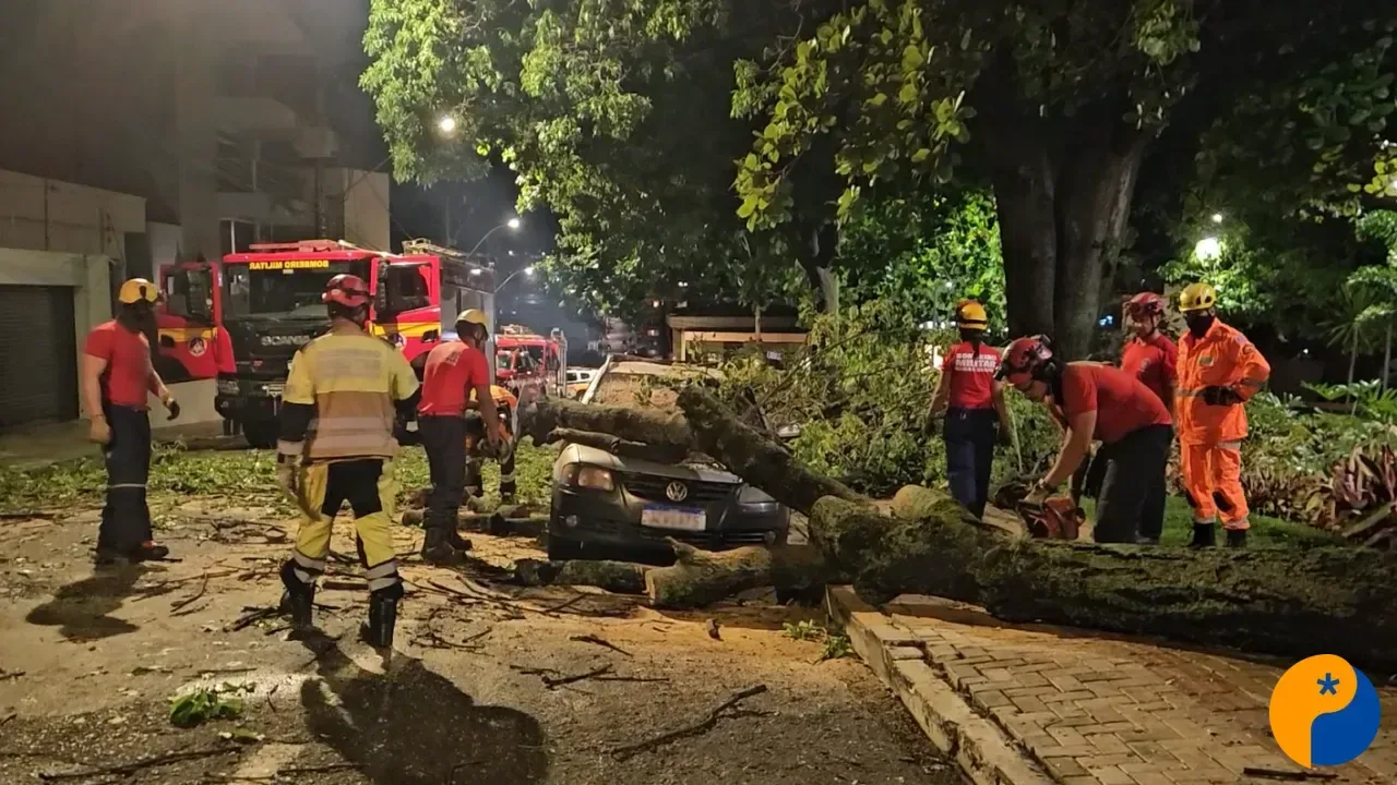 Chuva, vento e queda de árvores: veja os principais cuidados durante um temporal