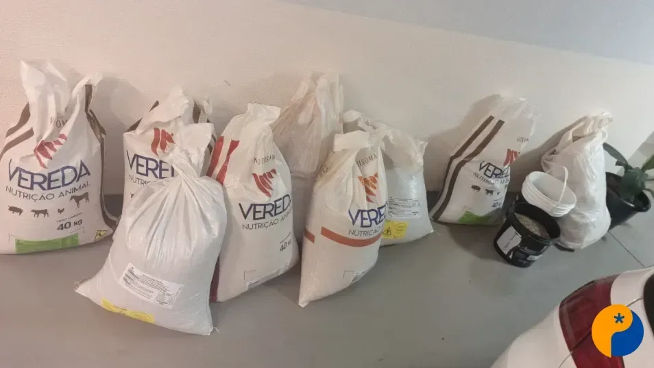 Três homens são presos com café furtado avaliado em R$ 22 mil em Patrocínio