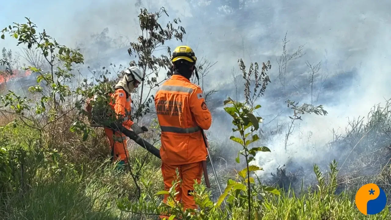 Incêndio em área rural mobiliza bombeiros e voluntários em Lagoa Formosa