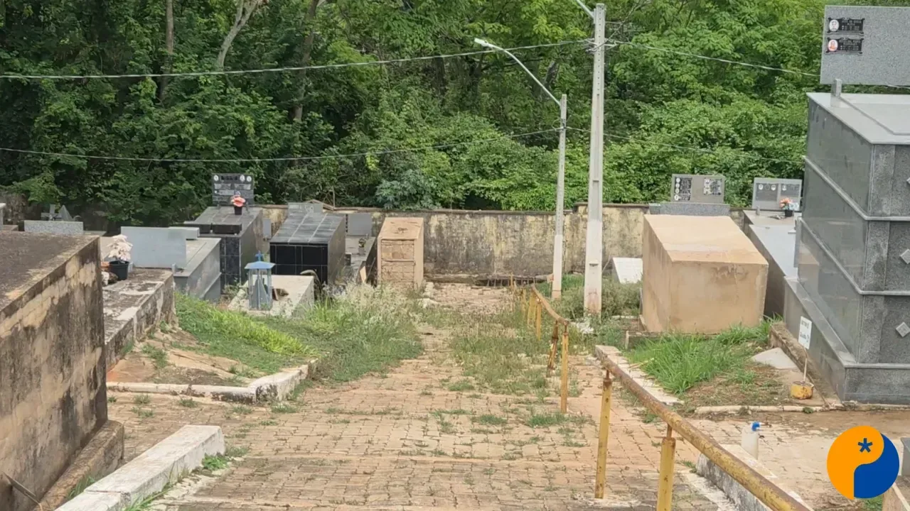 Mato alto no Cemitério Santa Cruz gera reclamação de moradores em Patos de Minas